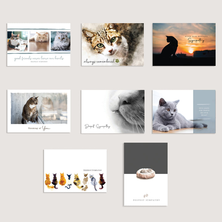 Cat Variety Pack of 100