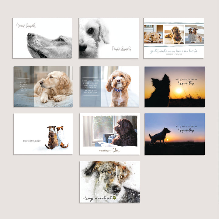 Dog Variety Pack of 100