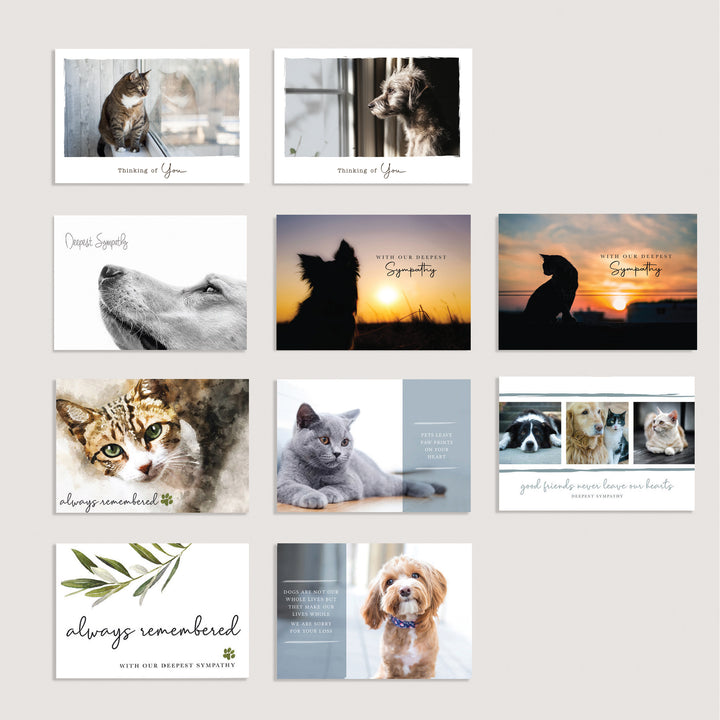 Cat &amp; Dog Variety Pack of 100