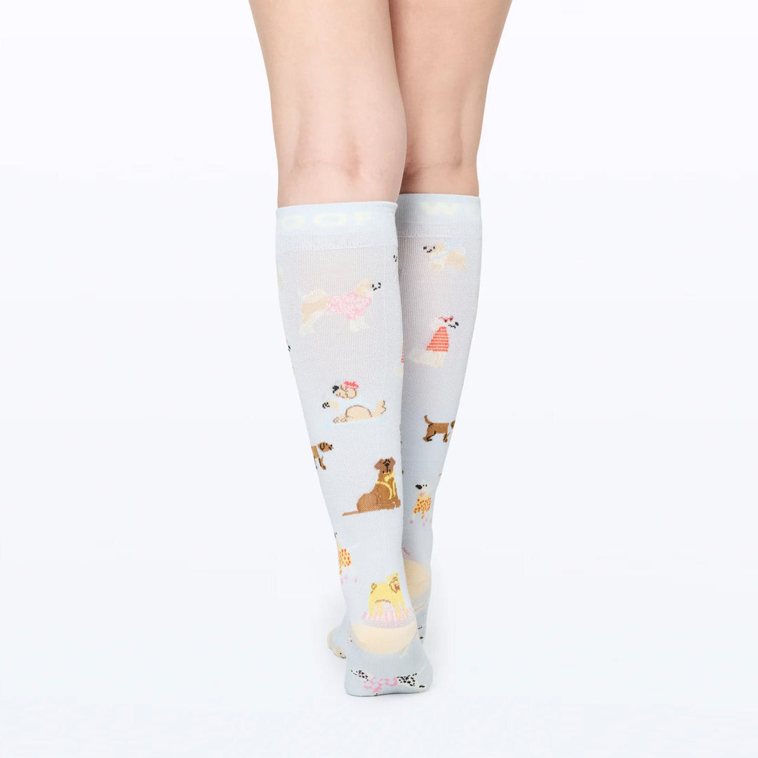 Dr Woof Compression Socks - Parisian Pups