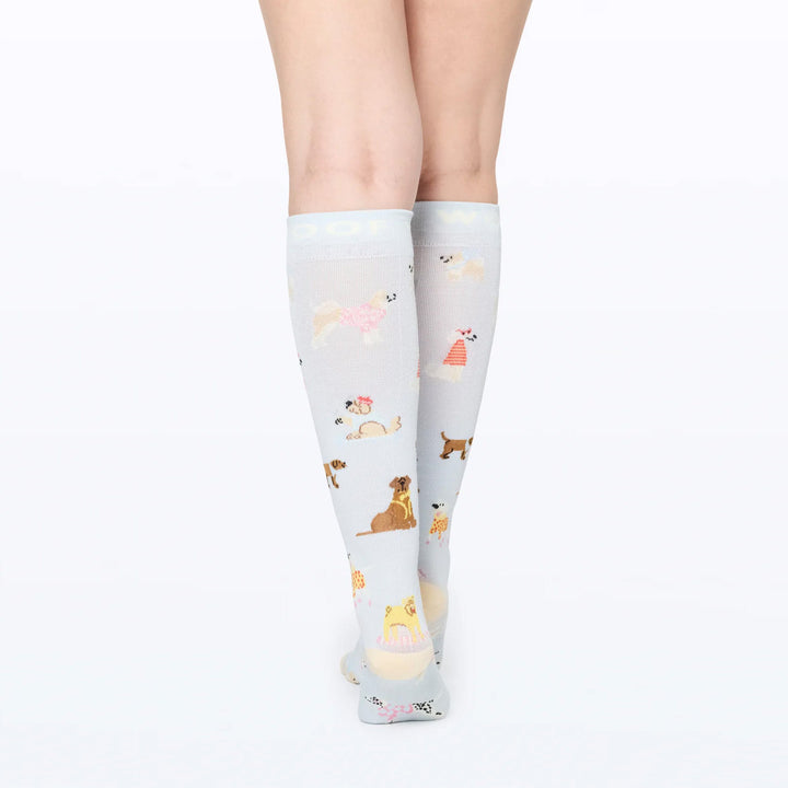 Dr Woof Compression Socks - Parisian Pups