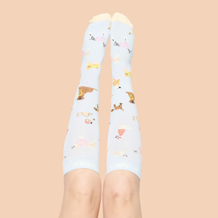 Dr Woof Compression Socks - Parisian Pups