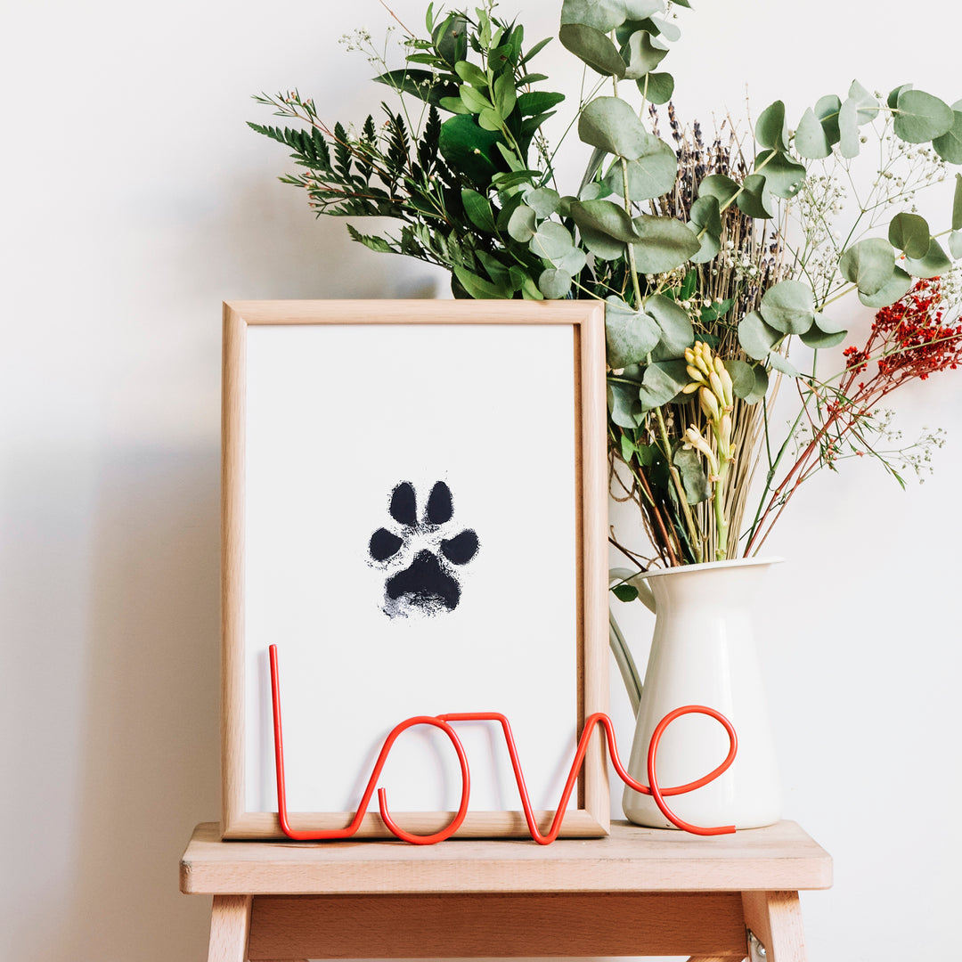 Paw print inkless best sale