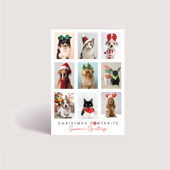 Blank Christmas Card - Christmas Pawtraits (10 Pack)
