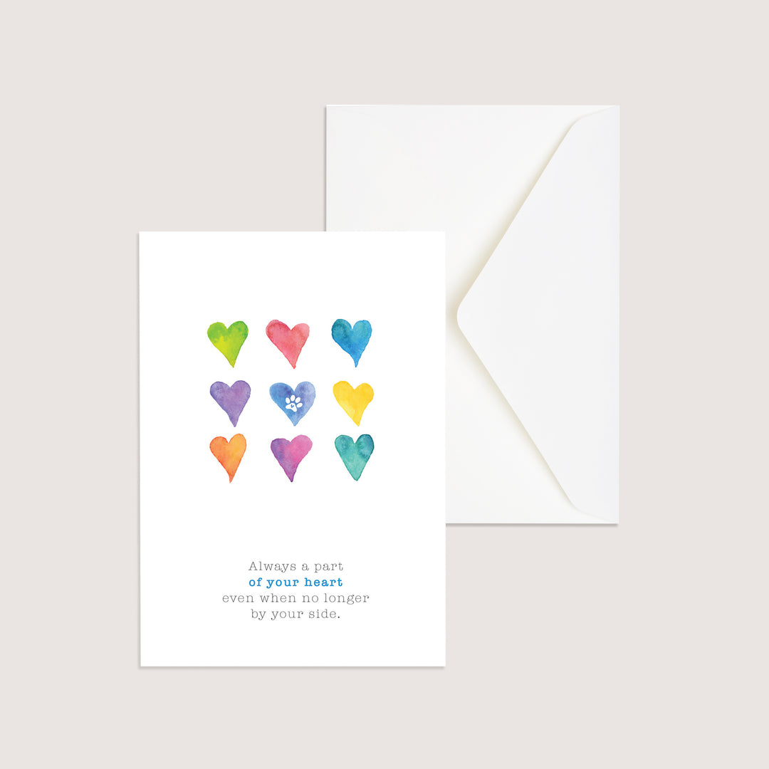 Rainbow Series - 2 - PACKS