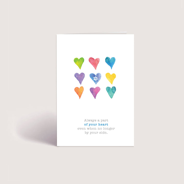 Rainbow Series - 2 - PACKS