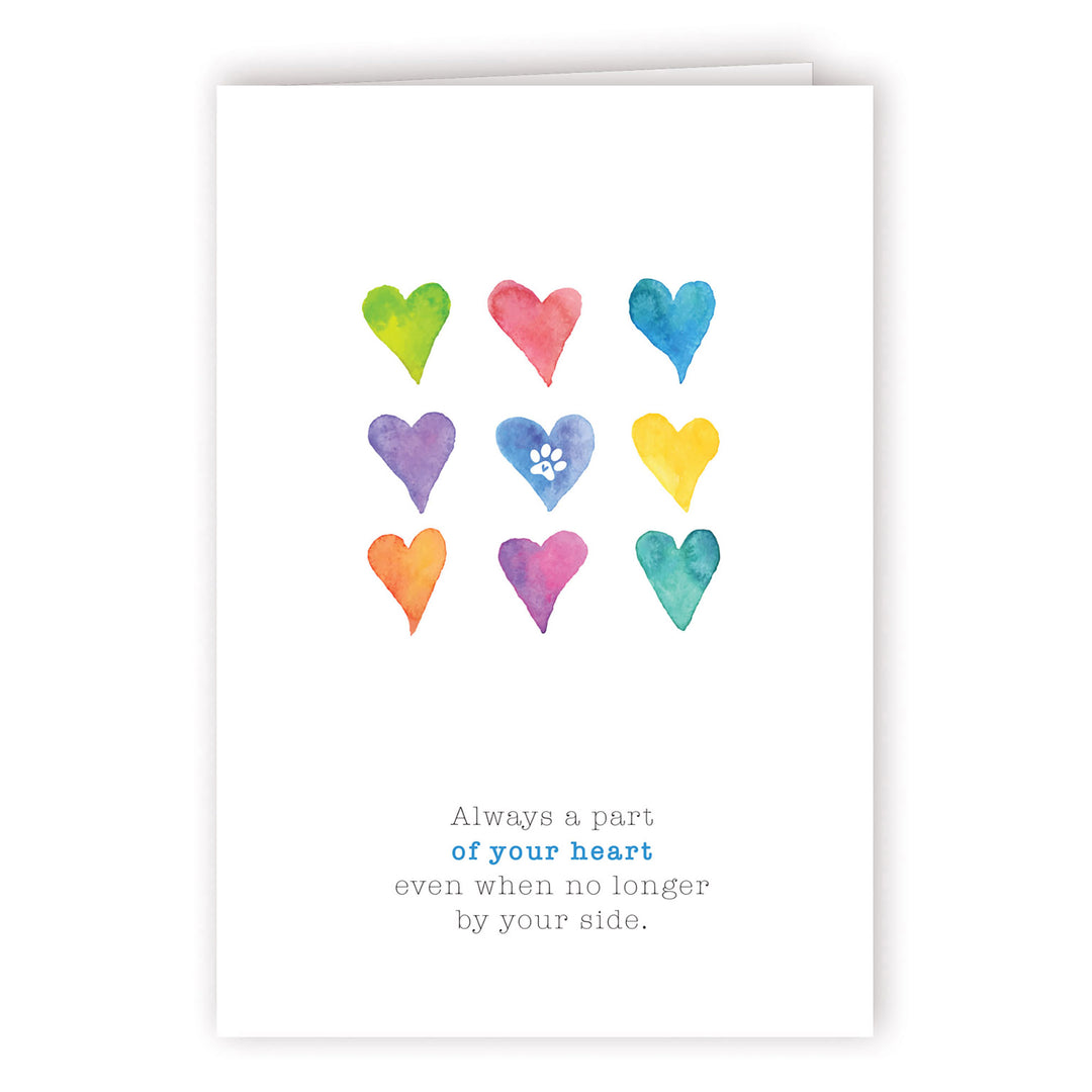 Rainbow Series - 2 - PACKS