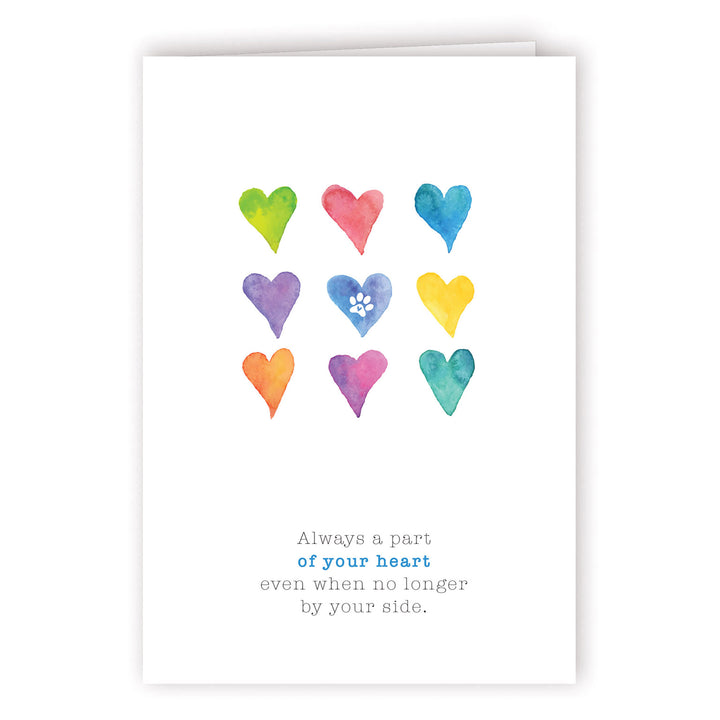 Rainbow Series - 2 - PACKS