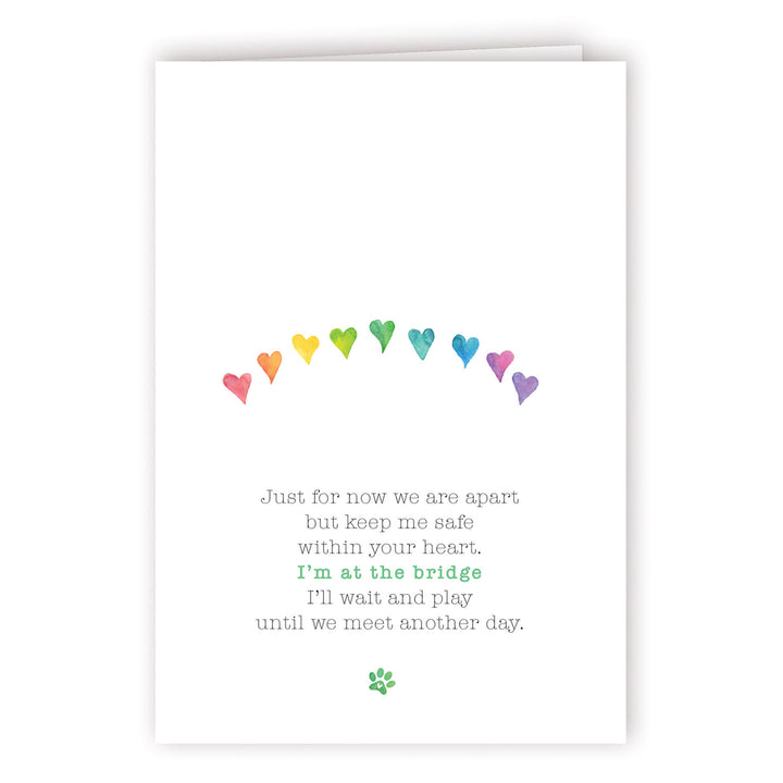 Rainbow Series - 3 - PACKS