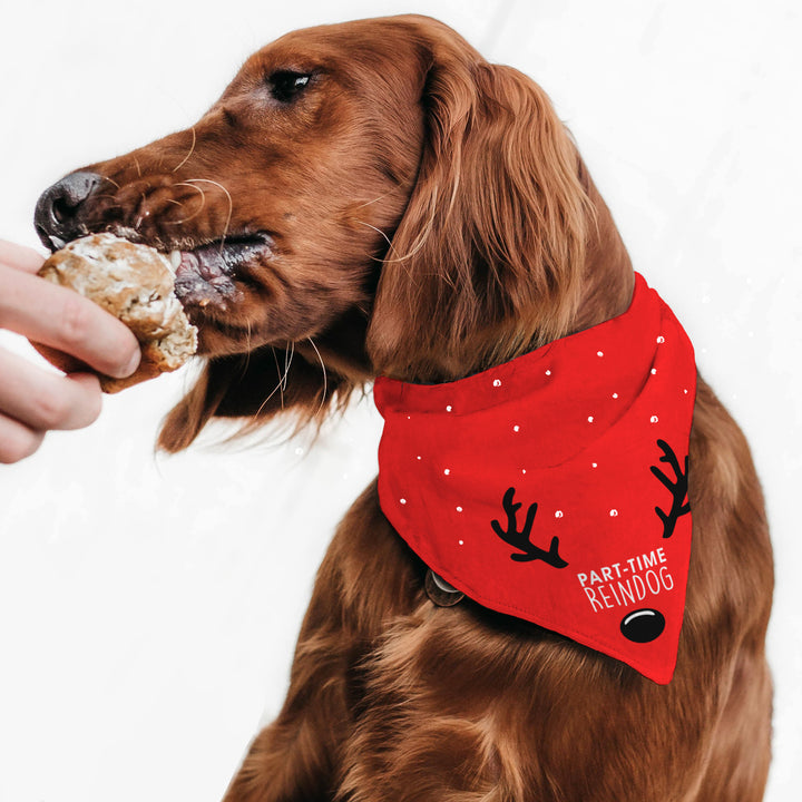 Christmas Bandana – Part-Time Reindog (10 Pack)