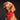 Christmas Bandana – Part-Time Reindog (10 Pack)