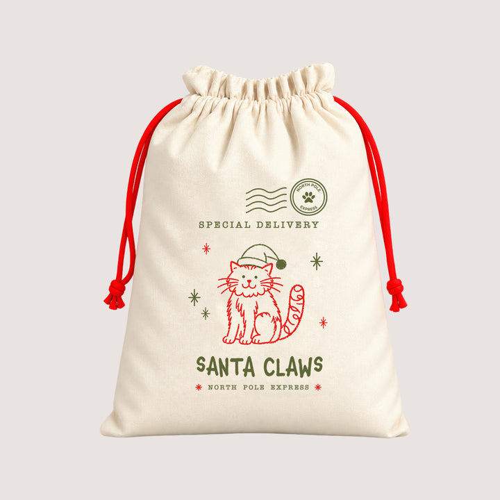 Christmas Santa Sack - Special Delivery Cat