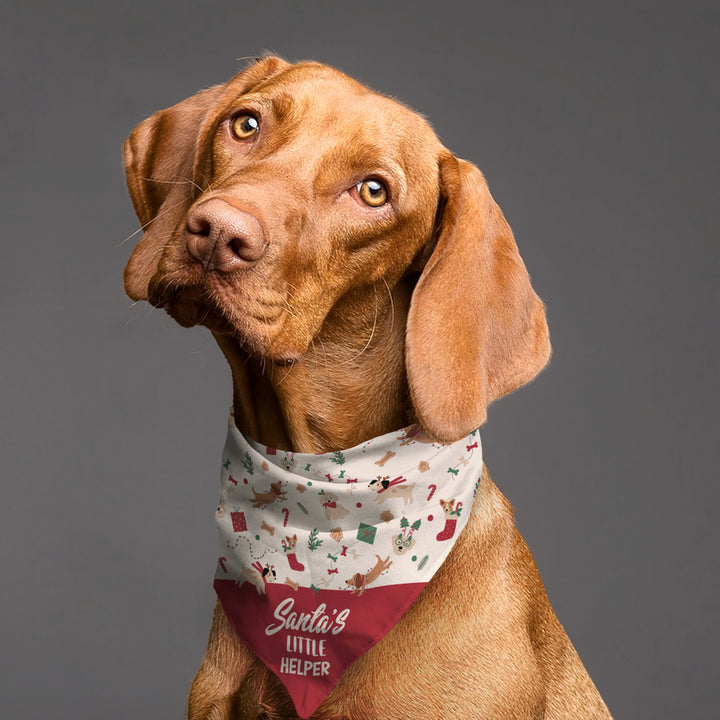 Christmas Bandana – Santa&