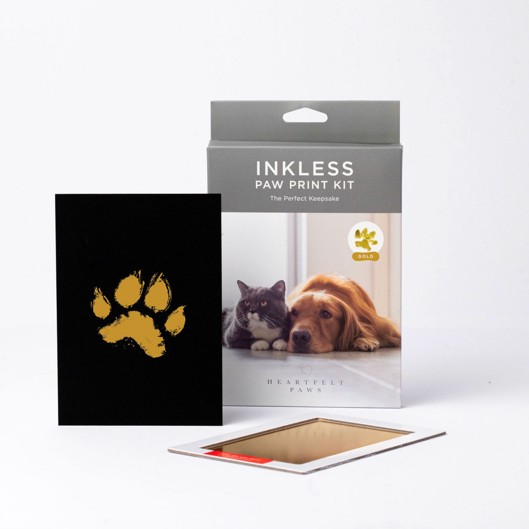 INKLESS PAWPRINT KEEPSAKE GOLD - wholesale (MOQ 64)