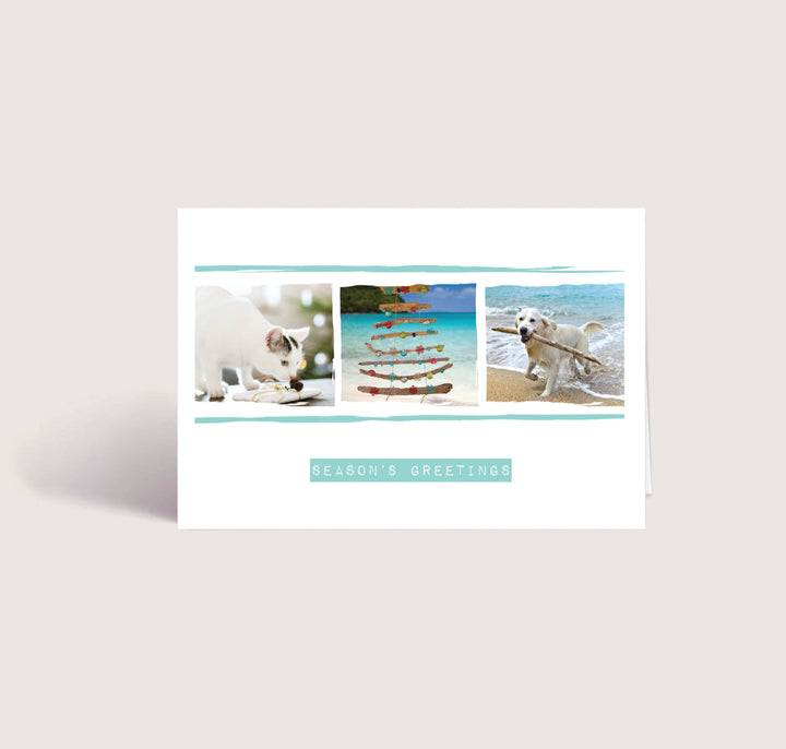 Blank Christmas Card - Seasons Greetings 2 (10 Pack)