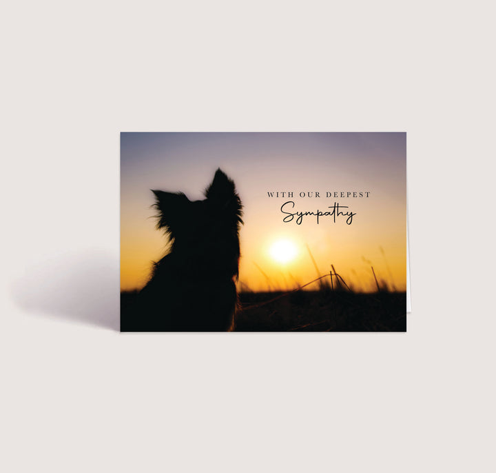Sunset Series 1 - Big Dog - PACKS