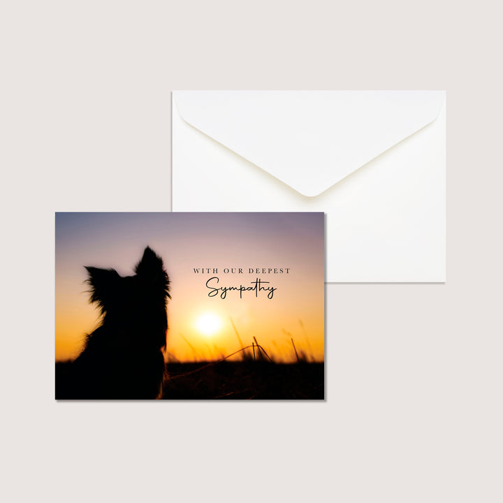 Dog Variety Pack of 100