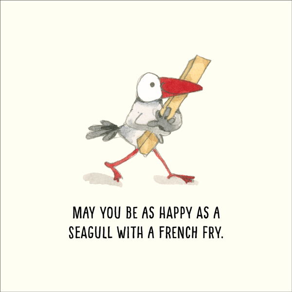 Twigseeds Seagull Cards For All Occasions - Set of 8