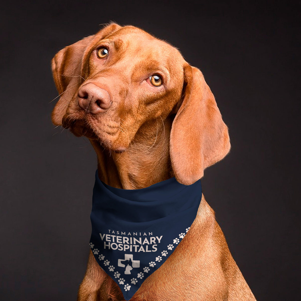 Custom Bandana - Triangle