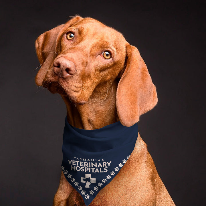 Custom Bandana - Triangle