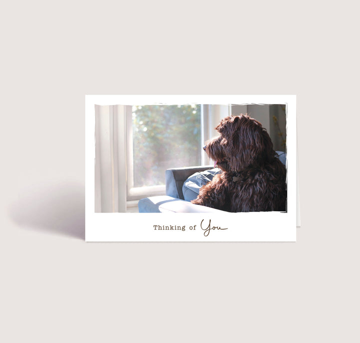 Thinking of You 1 - Big Dog - packs