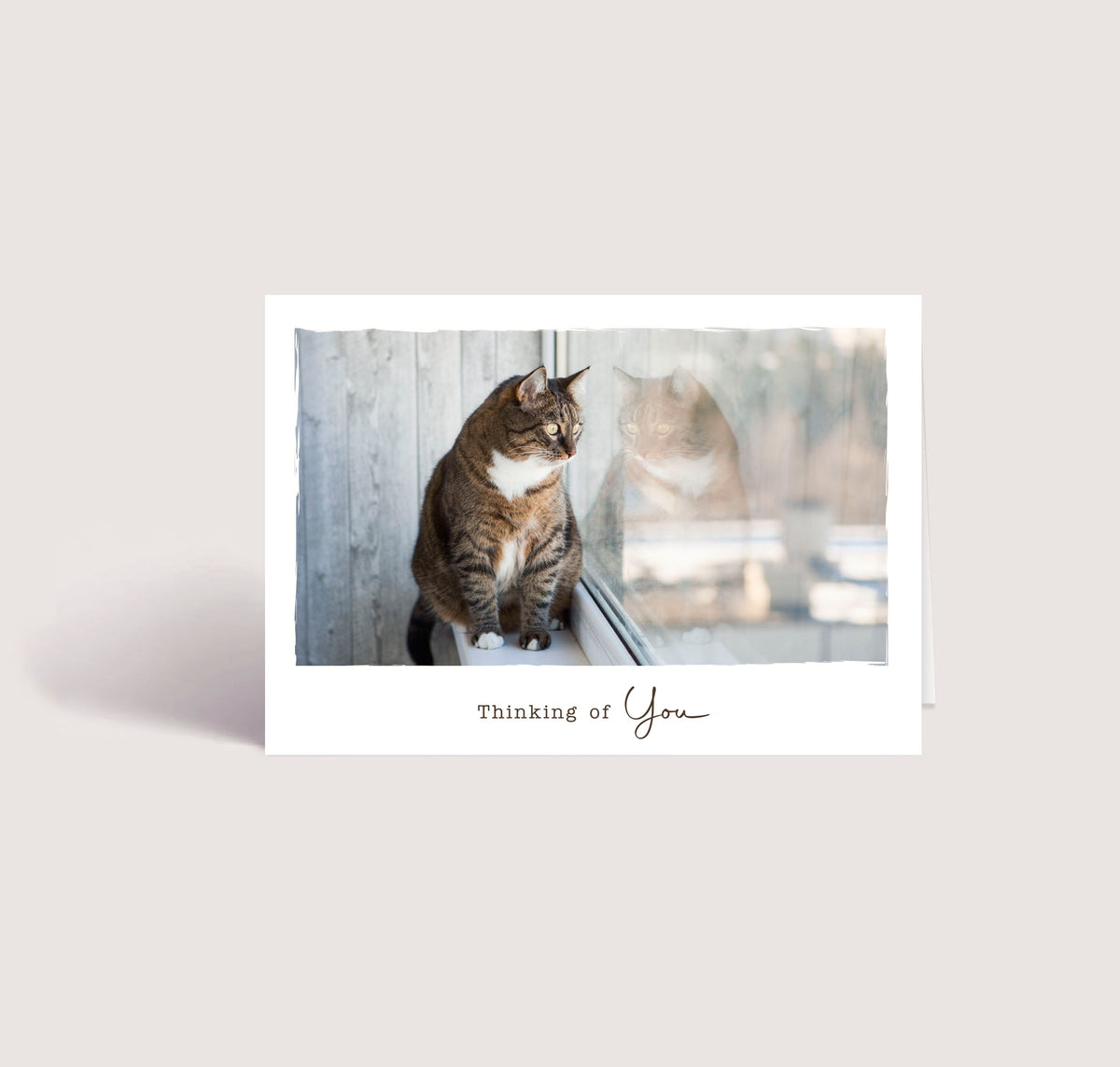 Thinking of You 2 - Cat - PACKS