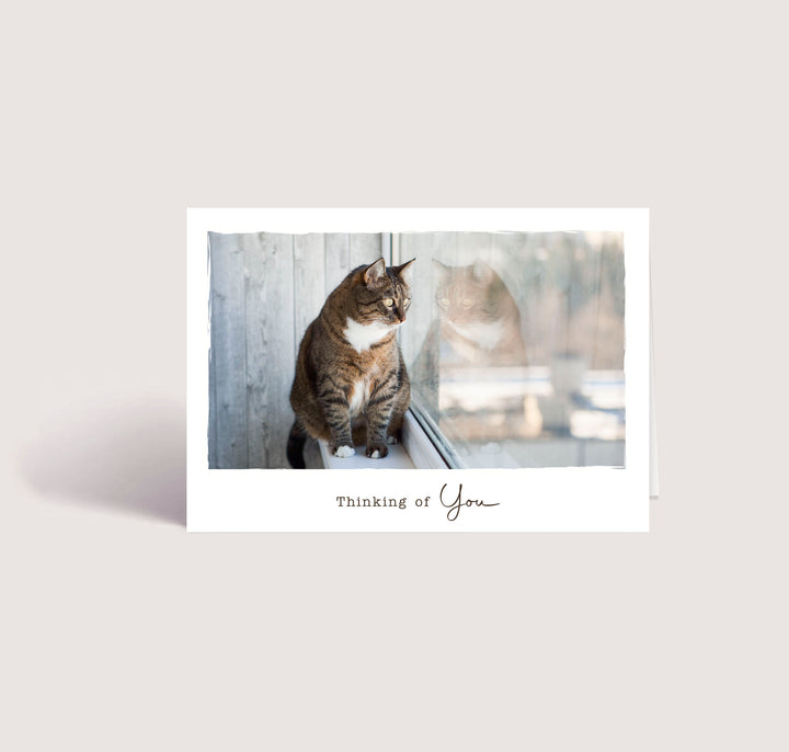 Thinking of You 2 - Cat - PACKS