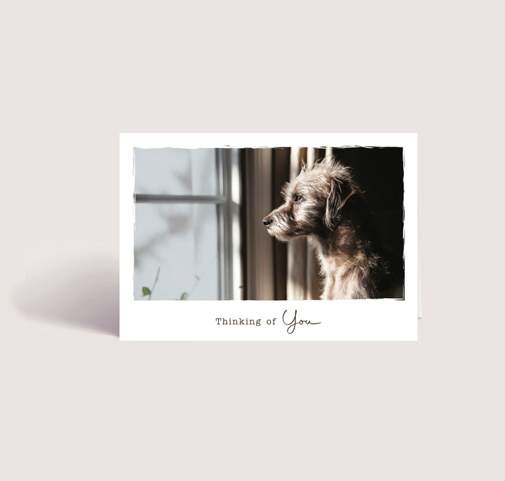 Thinking of You 3 - Small Dog- PACKS