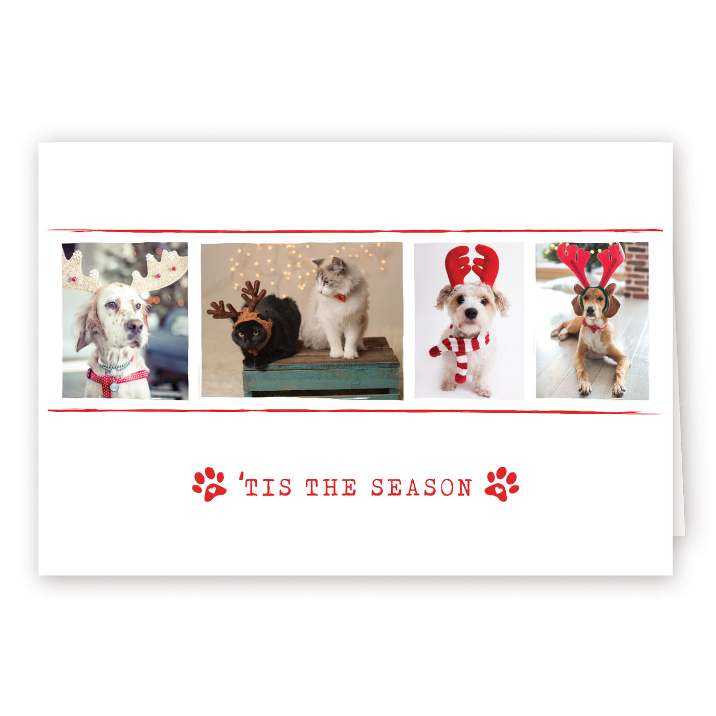 Custom Printed Christmas Card Packs - Tis the Season 1