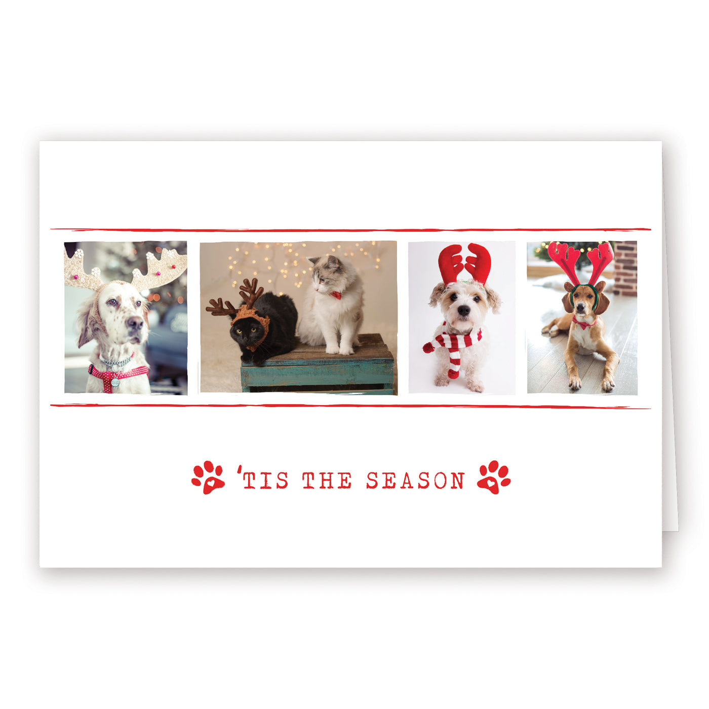 Blank Christmas Card - Tis The Season 1 (10 Pack)