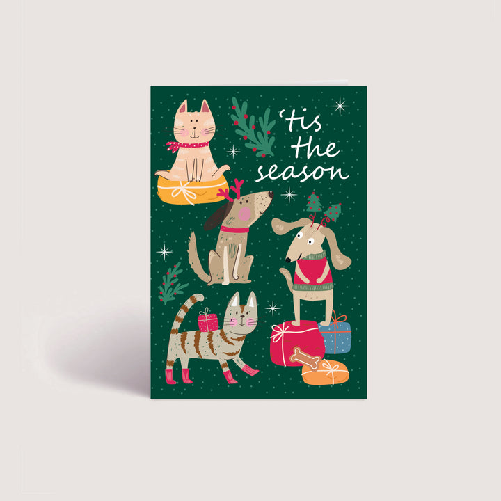 Blank Christmas Card - Tis the Season