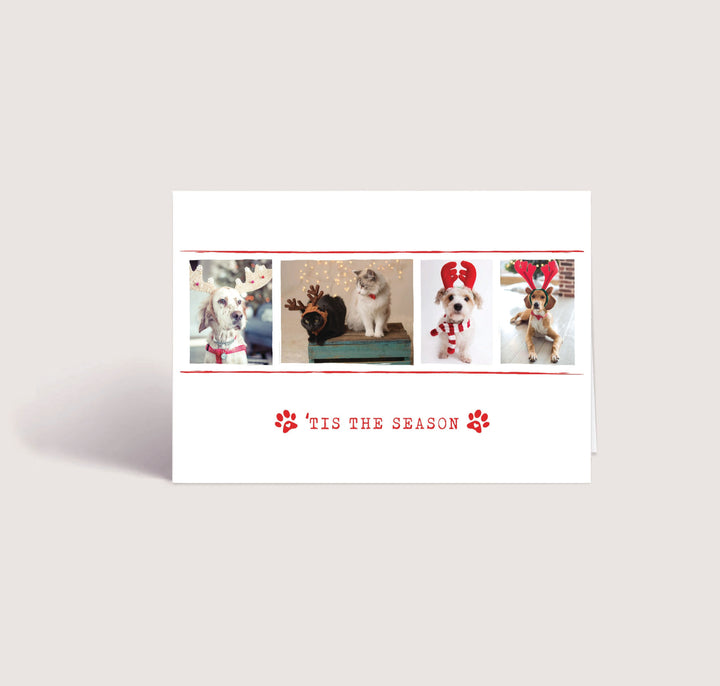 Blank Christmas Card - Tis The Season 1 (10 Pack)