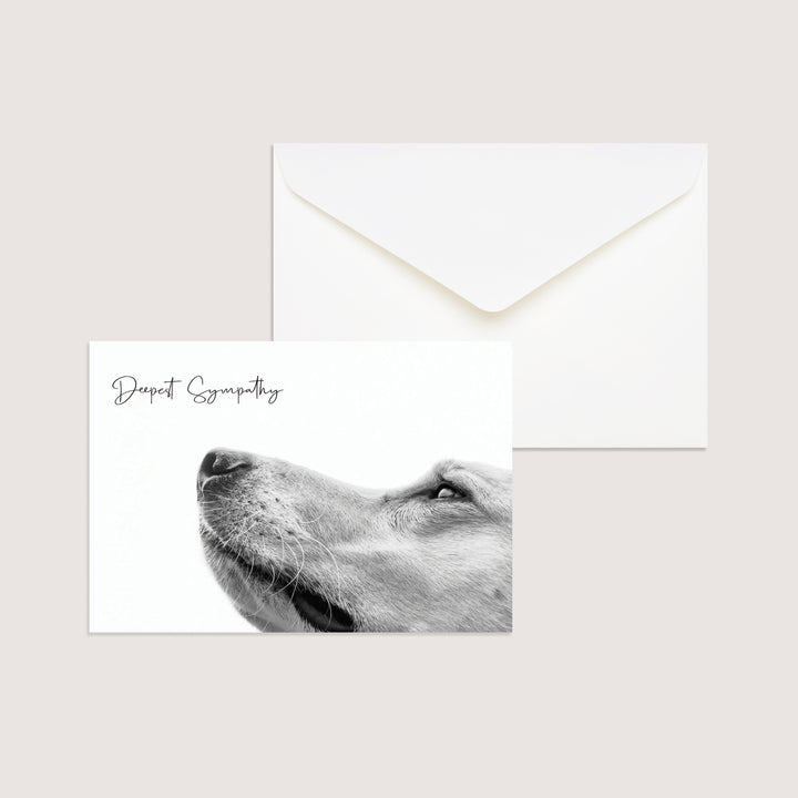 Dog Variety Pack of 100