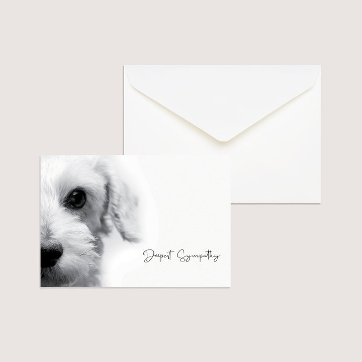 Up Close Series 3 - Small Dog - PACKS