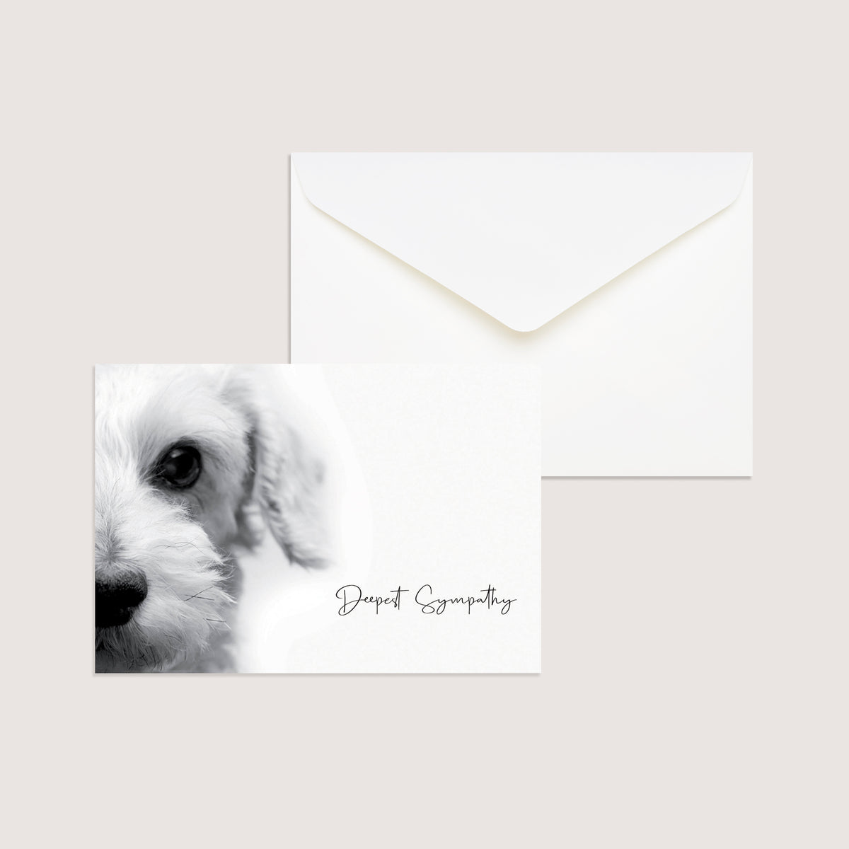 Up Close Series 3 - Small Dog WHOLESALE (500 MOQ)