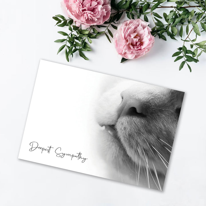 Up Close Series 2 - Cat - PACKS