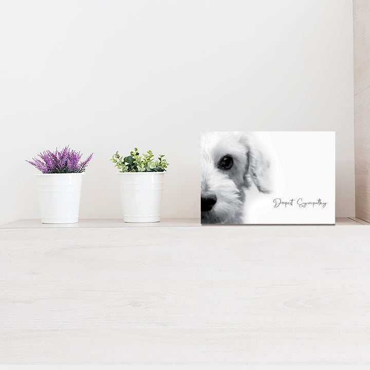 Up Close Series 3 - Small Dog - PACKS
