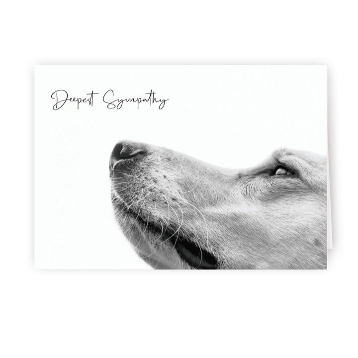 Up Close Series 1 - Big Dog - PACKS