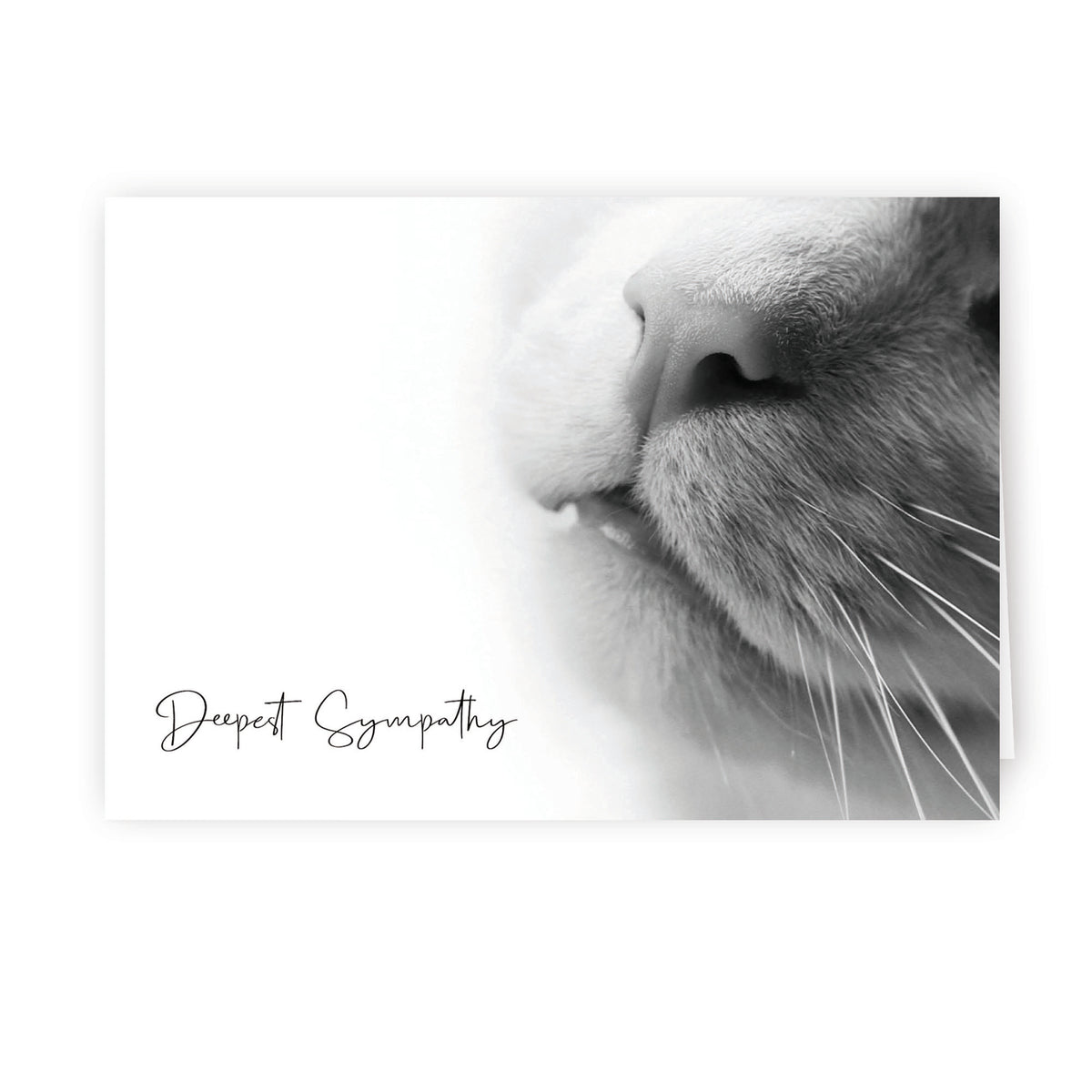 Custom Printed: Up Close Series 2 - Cat
