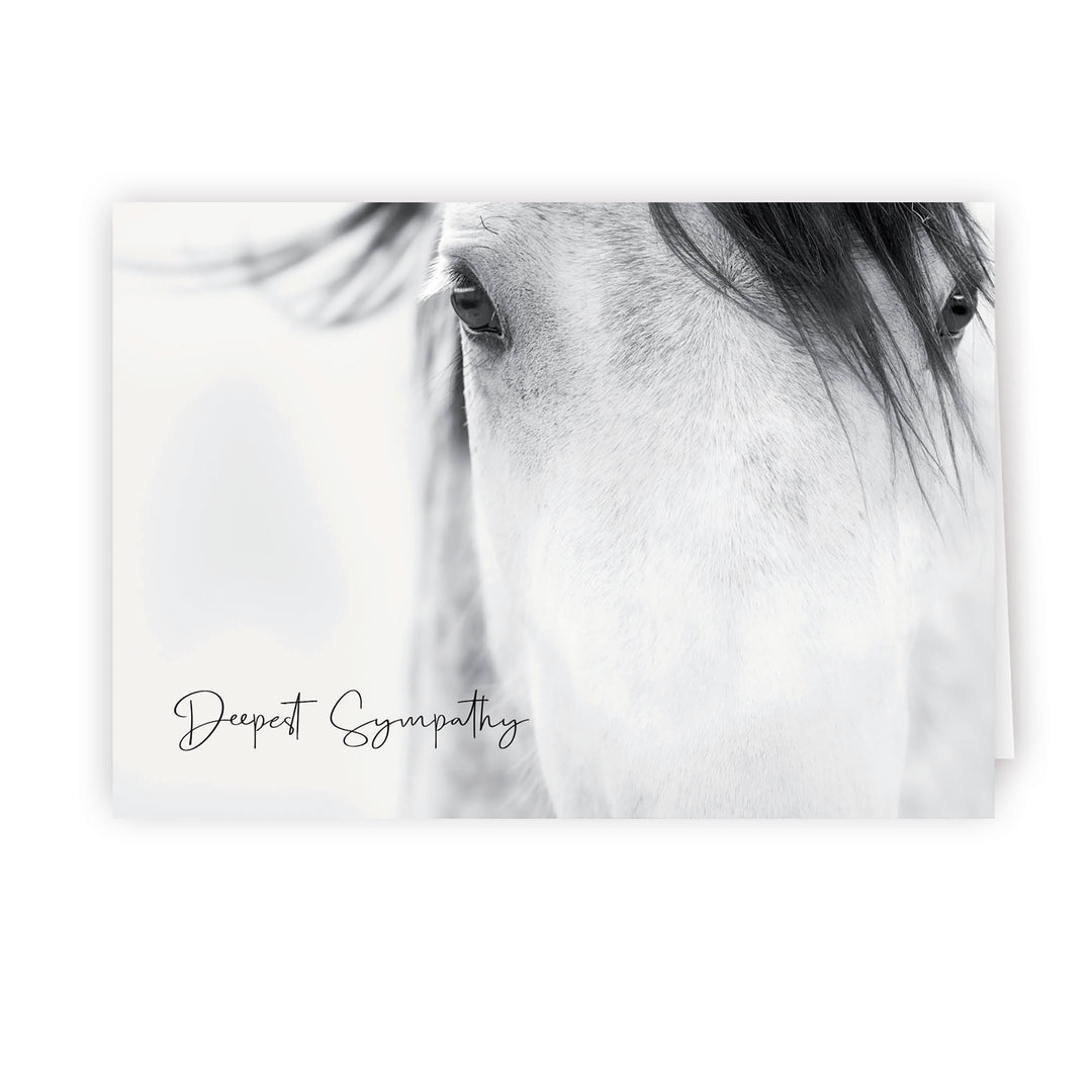 Up Close Series 4 - Horse - PACKS