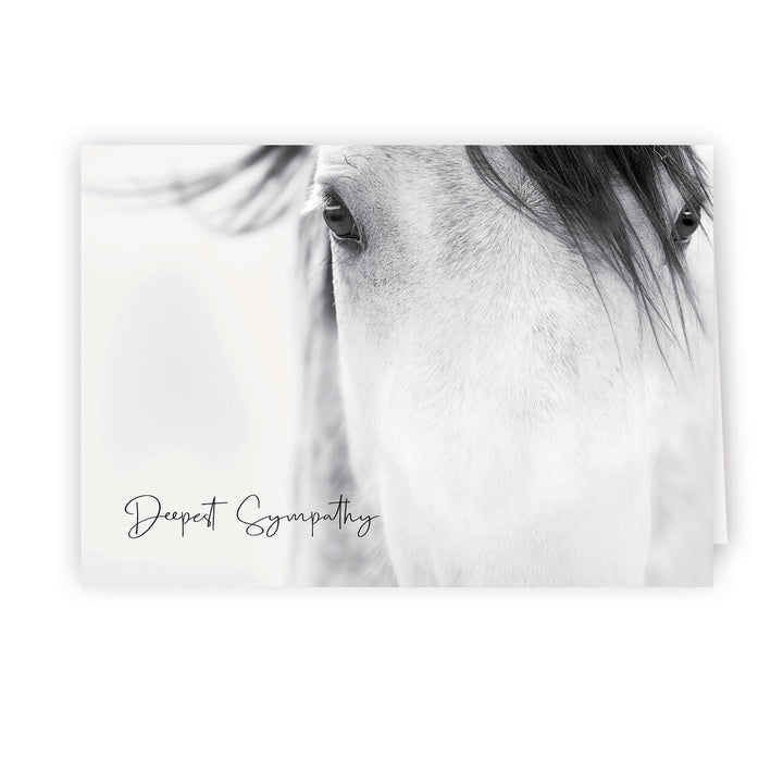 Up Close Series 4 - Horse - PACKS
