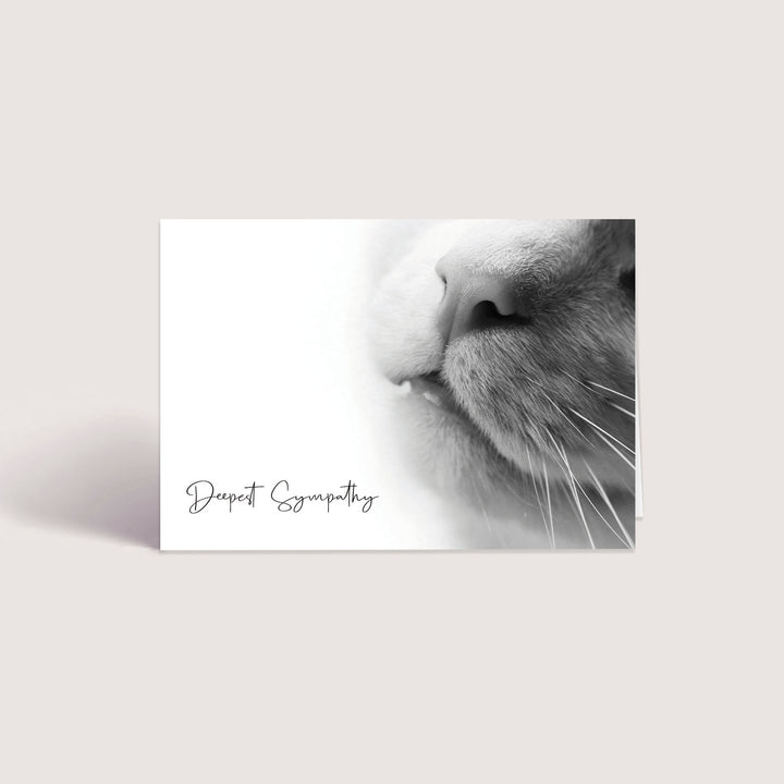 Up Close Series 2 - Cat - PACKS