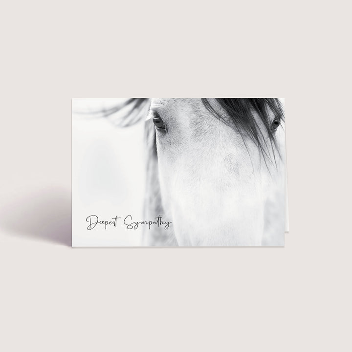 Up Close Series 4 - Horse WHOLESALE (500 MOQ)
