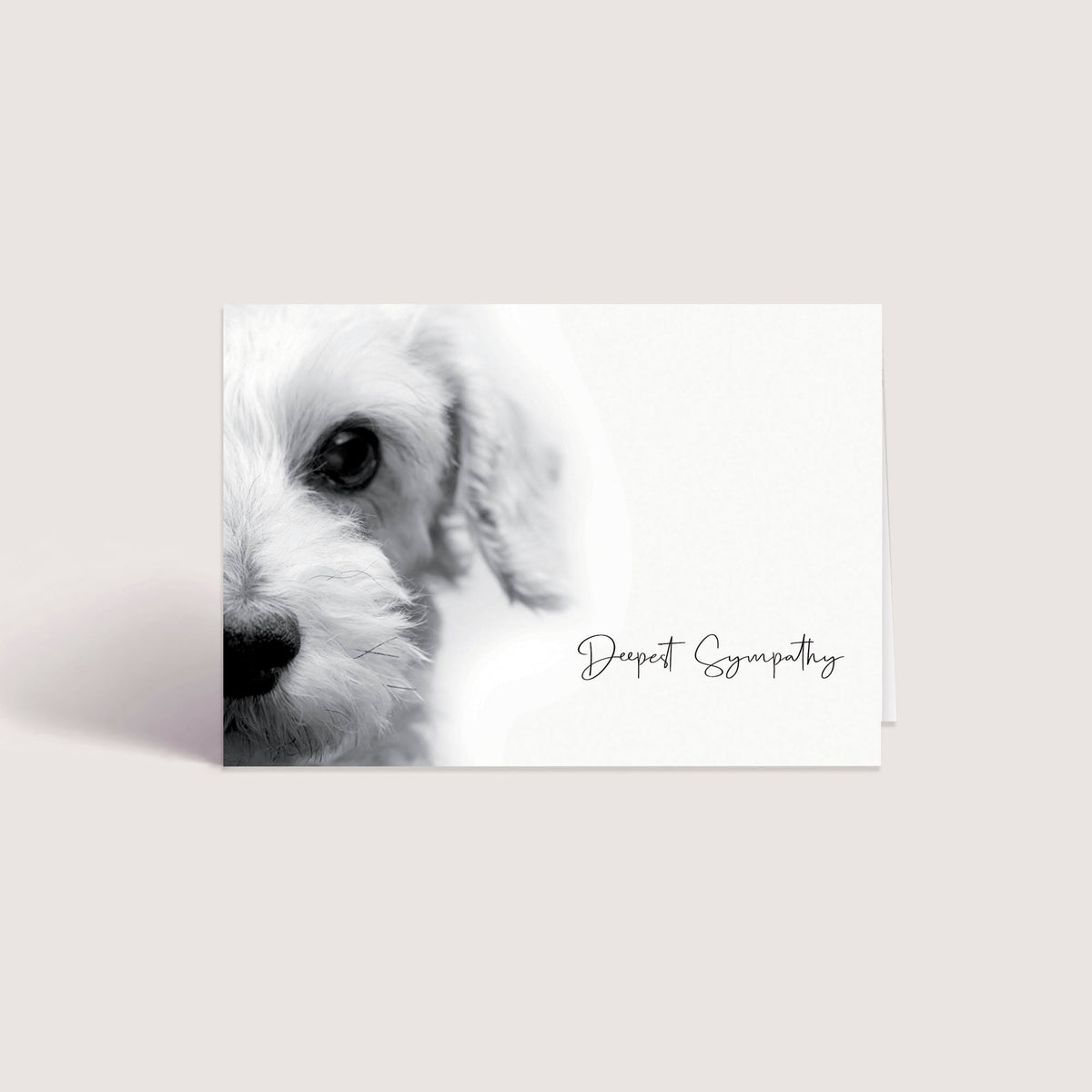Up Close Series 3 - Small Dog WHOLESALE (500 MOQ)