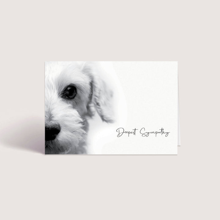 Up Close Series 3 - Small Dog WHOLESALE (500 MOQ)