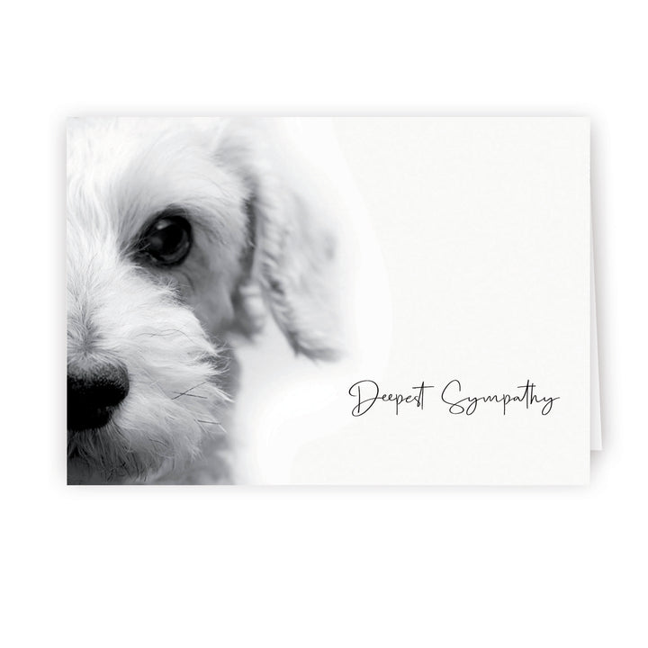 Up Close Series 3 - Small Dog - PACKS