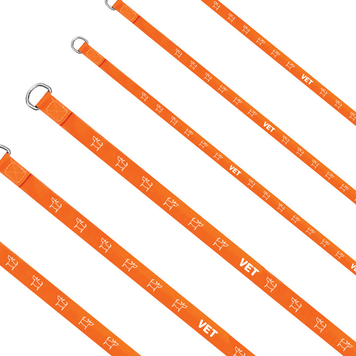 STOCK DOG LEADS - THE VETS LEAD - WHOLESALE (5 PACKS OF 20 Min)
