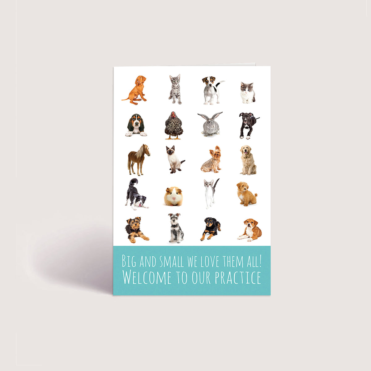 Welcome 3 - Pets - PACKS