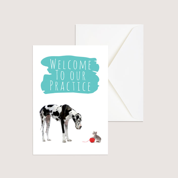 Welcome 4 - Great Dane &amp; Kitten - PACKS