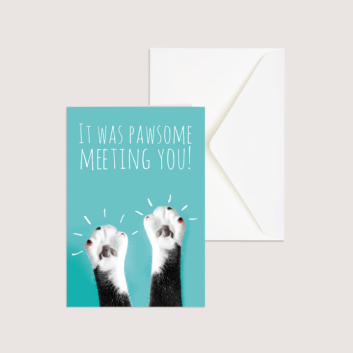 Welcome 2 - Cat - PACKS